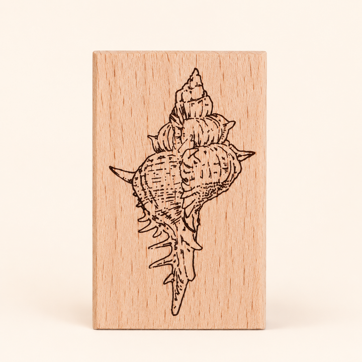 Right-Facing Murex Shell Wooden Rubber Stamp